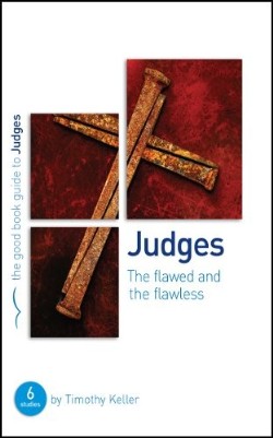Judges : The Flawed And The Flawless (Student/Study Guide)