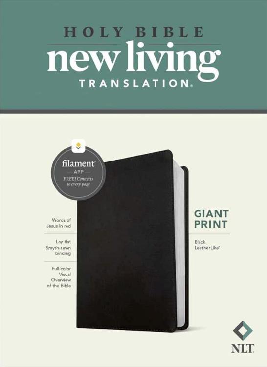 Giant Print Bible Filament Enabled Edition