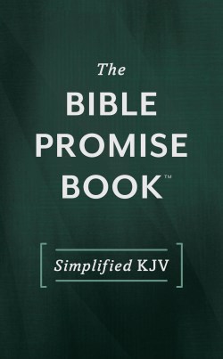 Bible Promise Book Simplified KJV