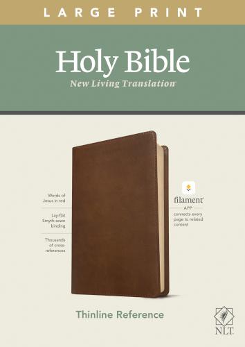 Large Print Thinline Reference Bible Filament Enabled Edition