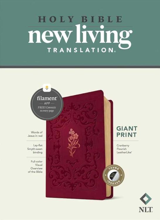 Giant Print Bible Filament Enabled Edition