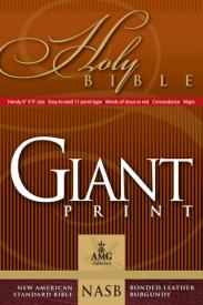 Giant Print Handy Size Bible