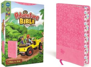 Adventure Bible For Early Readers