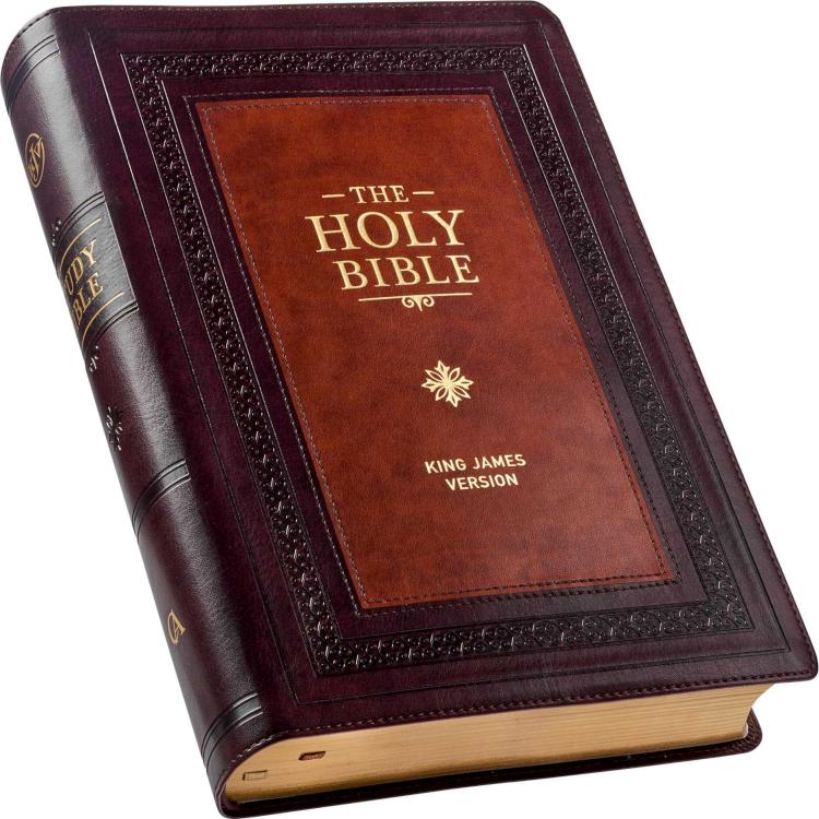 Study Bible Large Print