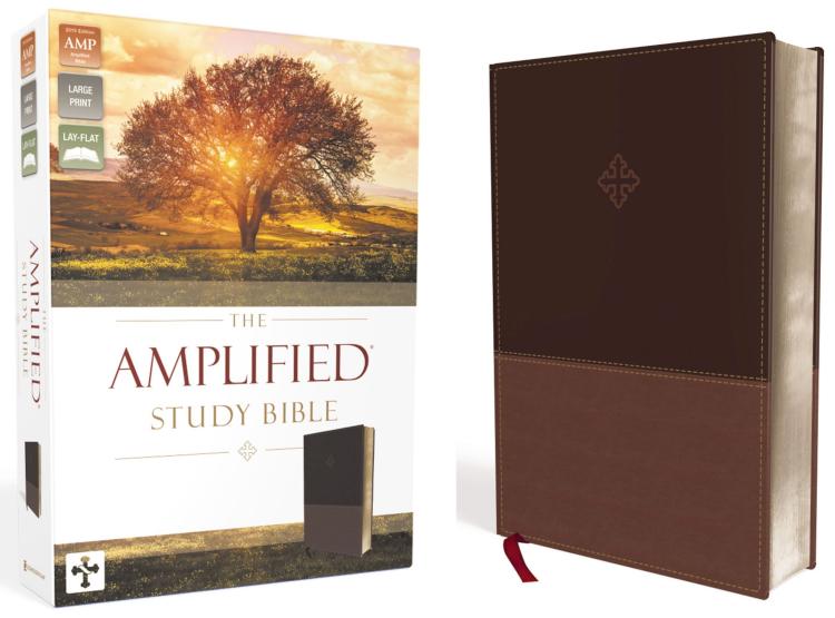 Amplified Study Bible