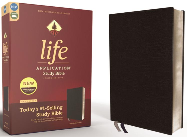 Life Application Study Bible Third Edition