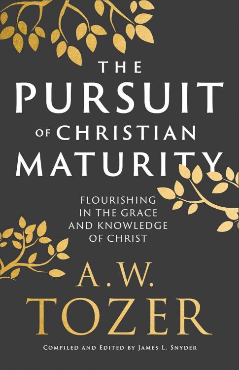 Pursuit Of Christian Maturity