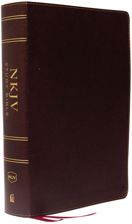 Study Bible Full Color Comfort Print