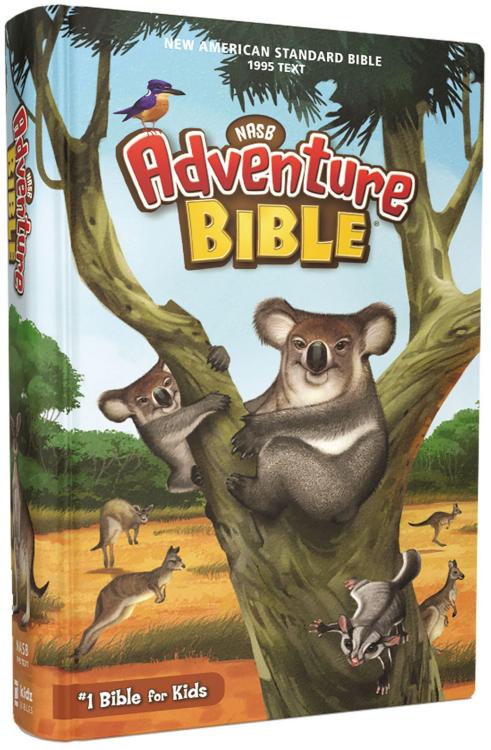 Adventure Bible Full Color Interior 1995 Text Comfort Print