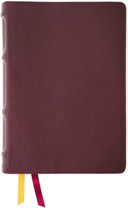 Thompson Chain Reference Bible Comfort Print