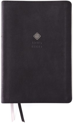 Mens Devotional Bible Large Print Comfort Print