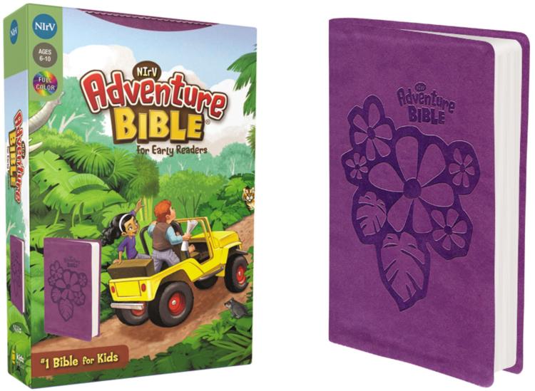 Adventure Bible For Early Readers