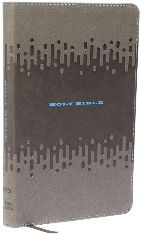 Bible For Kids Thinline Edition