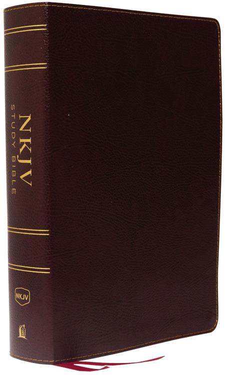 Study Bible Full Color Comfort Print