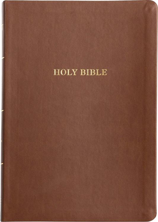 Large Print Thinline Bible Value Edition