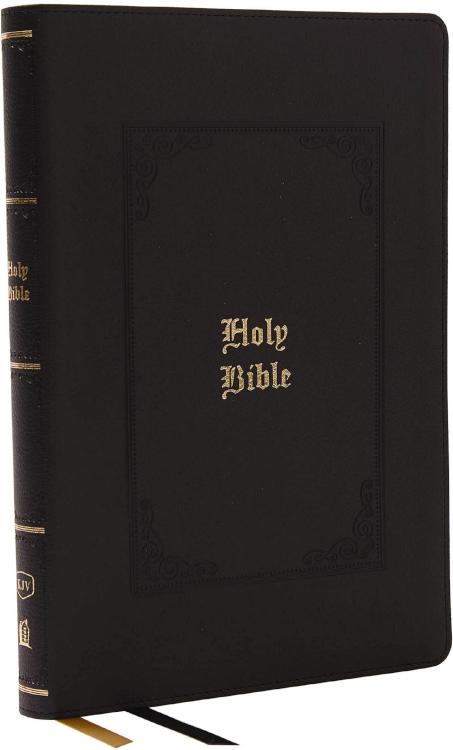 Giant Print Thinline Bible Vintage Series Comfort Print