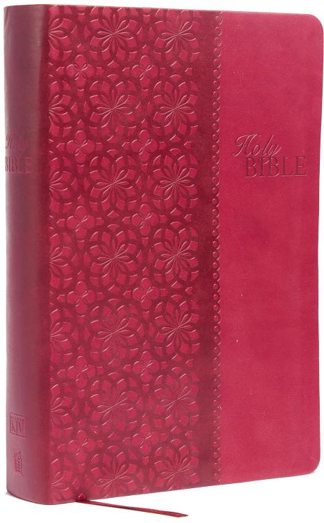 Study Bible Large Print Second Edition