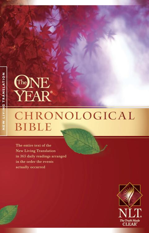 1 Year Chronological Bible