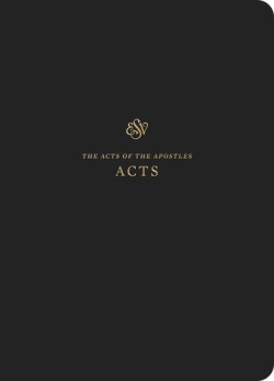 Scripture Journal Acts