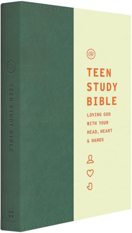 Teen Study Bible