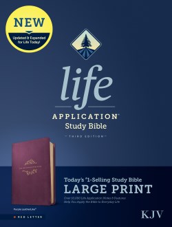 Life Application Study Bible Third Edition Large Print