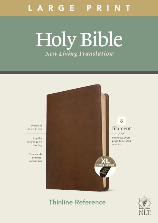 Large Print Thinline Reference Bible Filament Enabled Edition