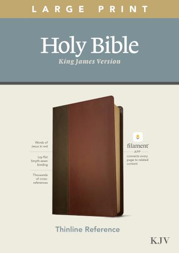 Large Print Thinline Reference Bible Filament Enabled Edition