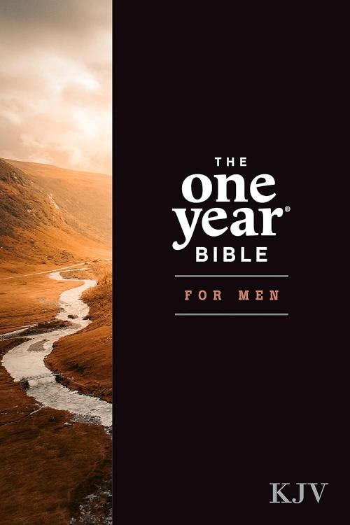 1 Year Bible For Men