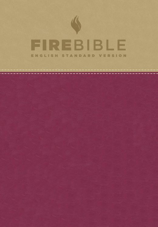 Fire Bible