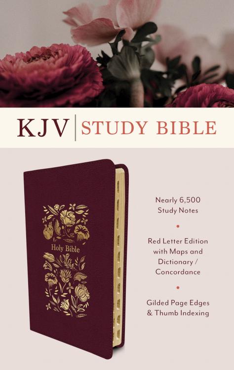 Study Bible