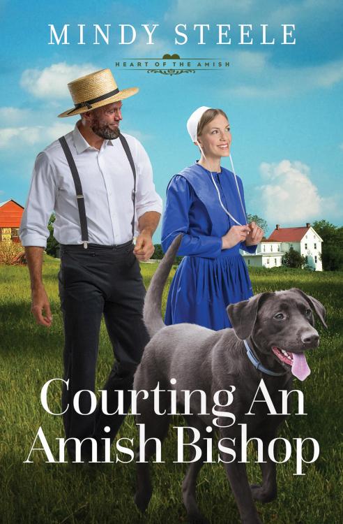 Courting An Amish Bishop