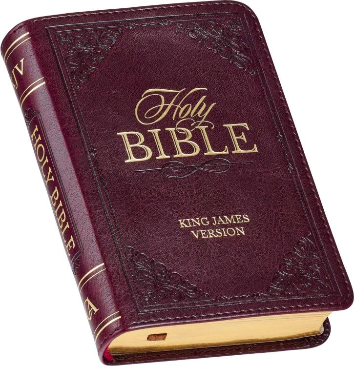 Mini Pocket Edition Bible