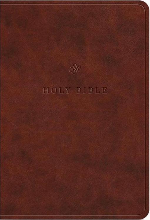 Value Large Print Compact Bible