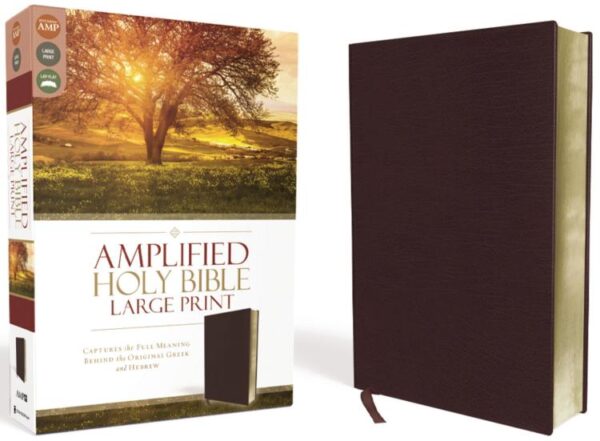 Amplified Bible Large Print