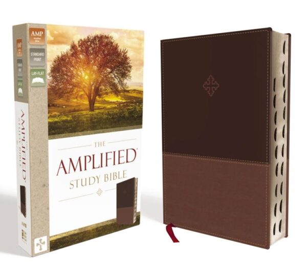 Amplified Study Bible