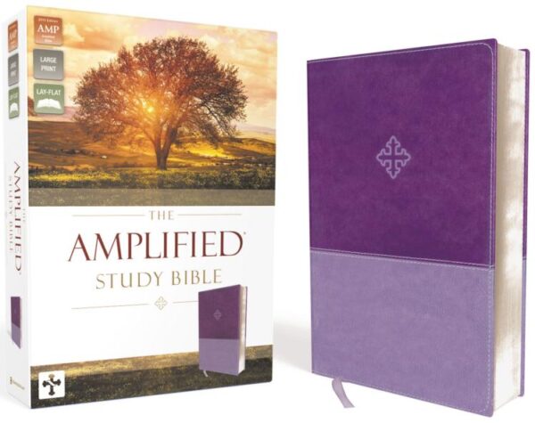 Amplified Study Bible