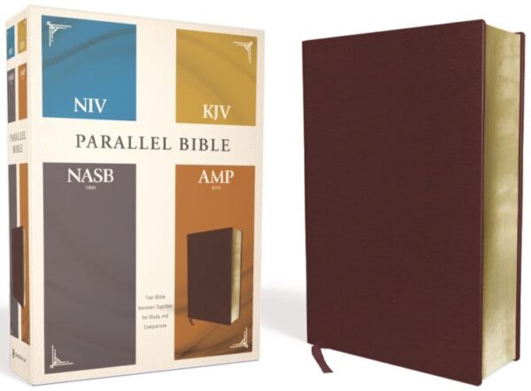 NIV KJV NASB Amplified Parallel Bible