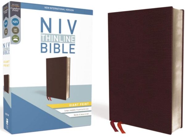 Thinline Bible Giant Print Comfort Print