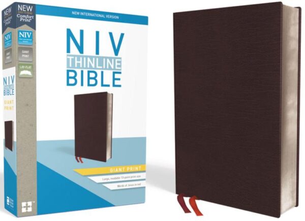 Thinline Bible Giant Print Comfort Print