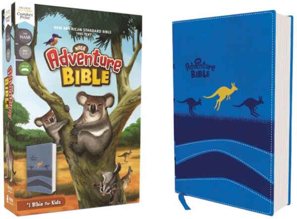 Adventure Bible Full Color Interior 1995 Text Comfort Print