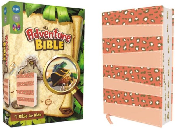 Adventure Bible