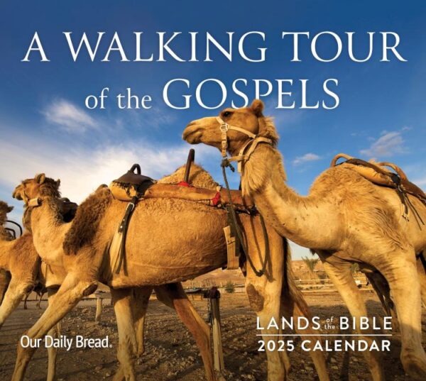 Lands Of The Bible 2025 Wall Calendar