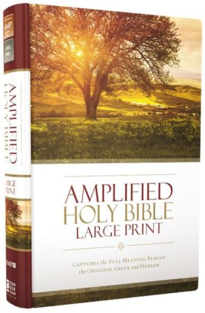Amplified Bible Large Print