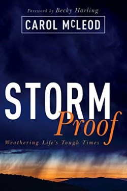 StormProof : Weathering Life's Tough Times