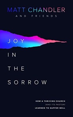 Joy In The Sorrow